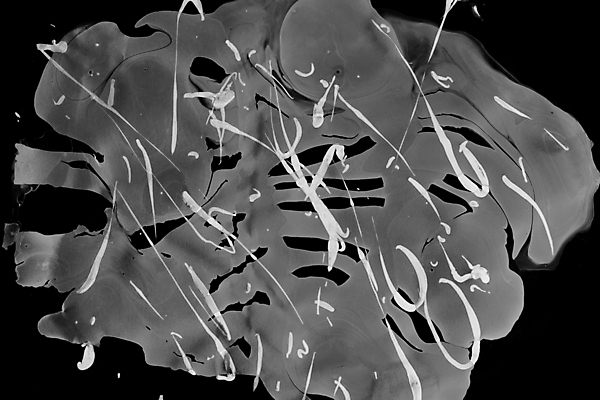 포토 JPG 해외이미지 디자인 종이 선 백그라운드 벽지 추상 수채화 흑백 미술 사람없음 장식 물 컬러풀 검은색 페인트 회색 흰색 못 얼룩 액체 떨어짐 그늘 질감 매니큐어 대리석 광택 섞기 효과 해외202008 해외포토 자연요소 컬러 컨셉 무늬 재료 문화예술 촬영기법 화장품 공구 파일형식