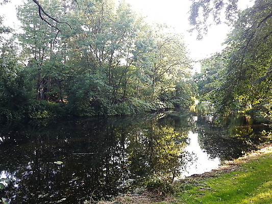 포토 JPG 해외이미지 음식 농업 비즈니스 건축양식 사람 사람없음 건물 반사 자전거 도시 시장 모서리 냄비 네덜란드 대학교 정사각형 광장 미로 지도책 포럼 해외202008 해외포토 도형 건축물 건축 유럽 산업 학교 책 바이크 솥 토론 파일형식