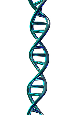 포토 JPG 해외이미지 줄기 과학 백그라운드 추상 세포 나선형 사람 사람없음 3D 흰색 DNA 생명공학 생물학 염색체 고립 유전 해외202008 해외포토 식물 교육 컬러 무늬 의학 디지털합성 파일형식