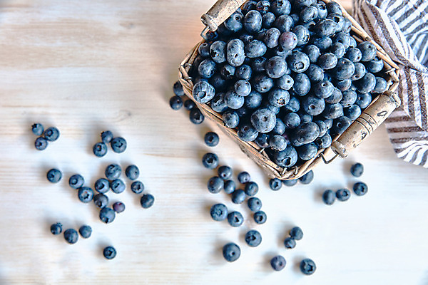 포토 JPG 해외이미지 열매 음식 백그라운드 다이어트 과일 자연 디저트 건강 사람없음 목재 파란색 바구니 봄 신선 달콤 맛 정상 유기농 블루베리 날것 내추럴 숙성 채식주의자 맛있는 해외202008 해외포토 나무 식물 웰빙 계절 컬러 컨셉 재료 생태계 채식 파일형식