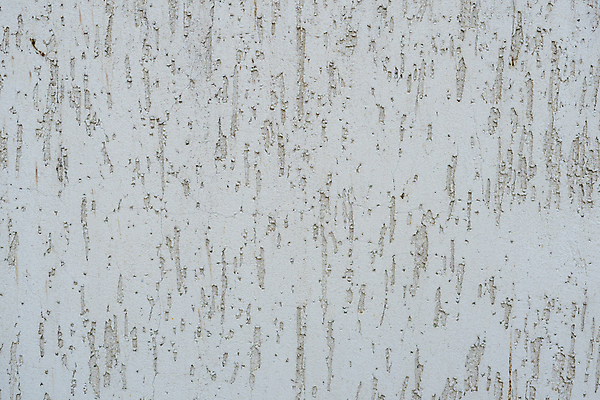 포토 JPG 해외이미지 모양 템플릿 디자인 종이 벽 백그라운드 패턴 벽지 표면 날씨 추상 수채화 창조 미술 사람없음 장식 빛 페인트 공백 회색 흰색 붓 얼룩 거친 균열 기름 천 묘사 그림 질감 캔버스 시멘트 내추럴 그런지 석고 엘리먼트 옛날 콘크리트 아크릴 효과 해외202008 해외포토 음식 컬러 무늬 모션 재질 문화예술 직물 파일형식