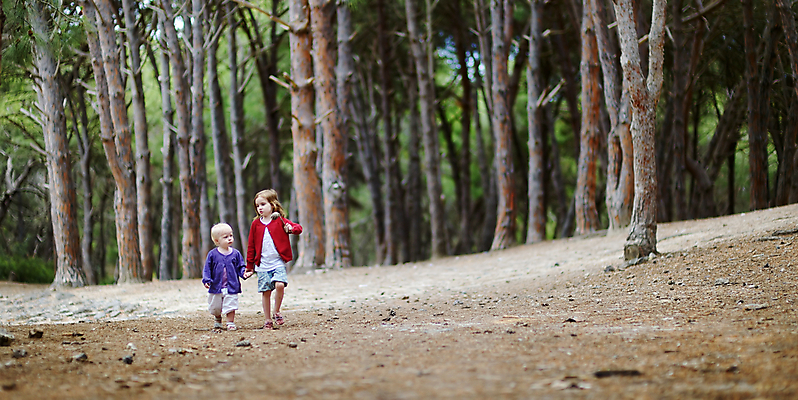 포토 JPG 해외이미지 나무 식물 계절 공원 어린이 잎 2 자국 자연 놀이 조류 함께함 파노라마 풍경 두명 목재 초록색 친구 햇빛 환경 침묵 산책 성장 가을 나뭇가지 시골 소나무 황무지 숲 작음 형제 뿌리 장면 지역 언니 내추럴 걸음마 해외202008 해외포토 동물 공공시설 남자 컬러 컨셉 재료 가족 관계 모션 휴식 촬영기법 사람 태양 소리 크기 생태계 자매 파일형식