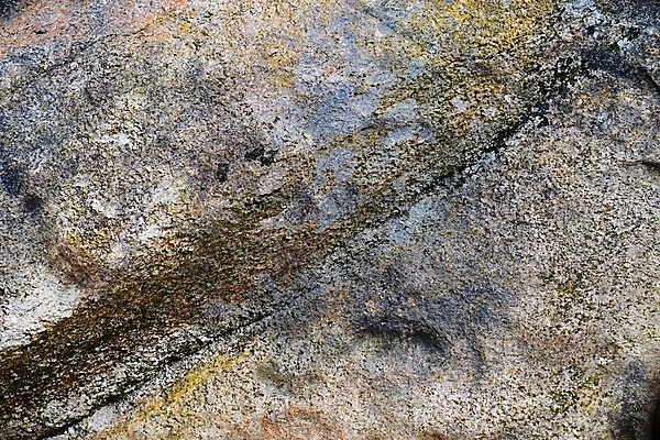 포토 JPG 해외이미지 디자인 종이 벽 백그라운드 패턴 건축양식 자연 벽지 표면 날씨 추상 바닥 미술 사람없음 내부 장식 빨간색 갈색 검은색 어둠 공백 회색 수확 바위 흰색 거친 균열 천 묘사 질감 대리석 시멘트 내추럴 그런지 옛날 지질학 콘크리트 화강암 해외202008 해외포토 교육 건축 컬러 무늬 농업 재료 모션 문화예술 암석 돌_바위 직물 생태계 파일형식