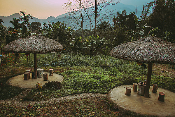 포토 JPG 해외이미지 식물 아시아 문화 여행 백그라운드 농업 건축양식 자연 휴가 휴식 풍경 사람없음 야외 초록색 여름 관광지 농장 농경지 마을 환경 정원 맑음 고요 성장 시골 베트남 내추럴 밭일 해외202008 해외포토 계절 건축 나라 산업 컬러 컨셉 날씨 동남아시아 생태계 파일형식