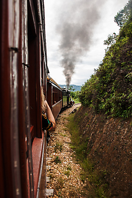 포토 JPG 해외이미지 주간 여자 여행 한명 상반신 성인 야외 뒷모습 기차 연기 승객 성인여자한명만 해외202008 해외포토 자연요소 1 육상교통 뷰포인트 대중교통 사람 여자한명만 성인여자만 파일형식