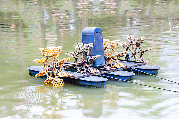 포토 JPG 해외이미지 나무 식물 산업 아시아 호수 모션 태국 자연 사람없음 야외 초록색 물 농장 환경 금속 힘 기계 장비 흐름 에너지 공구 시골 연못 신선 바퀴 오염 떨어짐 왕 시스템 엔진 산소 낭비 내추럴 방앗간 해외202008 해외포토 자연요소 나라 컬러 컨셉 농업 재질 도구 원소 생태계 파일형식