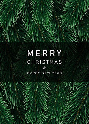 EPS 해외이미지 나무 식물 템플릿 전통 디자인 배너 계절 백그라운드 크리스마스 겨울 패턴 일러스트 자연 벽지 휴가 새로움 프레임 장식 초록색 3D 축제 나뭇가지 축하 소나무 신용카드 화려 연도 질감 상록수 전나무 내추럴 가문비나무 현실 국경 해외202008 해외일러스트 기념일 컬러 컨셉 무늬 금융 디지털합성 생태계 파일형식 벡터