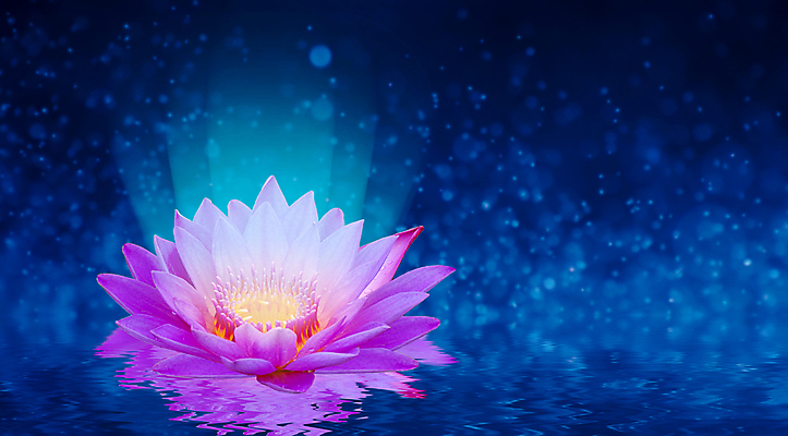 포토 JPG 해외이미지 식물 디자인 꽃잎 꽃 별 선 분홍색 백그라운드 컨셉 꽃무늬 일러스트 자연 벽지 동화 추상 휴식 사람없음 장식 물 파란색 빛 컬러풀 노란색 평화 보라색 꿈 낭만 벚꽃 흰색 연못 개화 명상 싱글 공상 마법 이국적 해외202008 해외포토 자연요소 컬러 무늬 생태계 파일형식