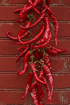 포토 JPG 해외이미지 식물 전통 문화 음식 벽 채소 재료 자연 고추 불 피망 벽돌 파프리카 건강 요리 사람없음 빨간색 초록색 우주 주방 흰색 신선 뜨거움 양념 조미료 그룹 다발 먹기 향신료 유기농 매움 날카로움 향료 후추 온도 내추럴 연소 고립 숙성 옛날 채식주의자 많음 해외202008 해외포토 자연요소 웰빙 컬러 컨셉 모션 맛 생태계 채식 향기 냄새 향미료 파일형식