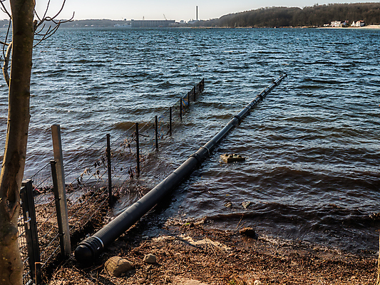 포토 JPG 해외이미지 동물 산업 야생동물 벽 백그라운드 패턴 농업 포유류 자연 독일 덴마크 풍경 사람없음 야외 울타리 농장 갈색 머리 환경 금속 정원 검은색 돼지 위험 천 철 질감 대문 철사 새장 망사 설치 국경 해외202008 해외포토 유럽 컬러 컨셉 무늬 재질 북유럽 신체부위 담장 문 직물 생태계 케이지 파일형식