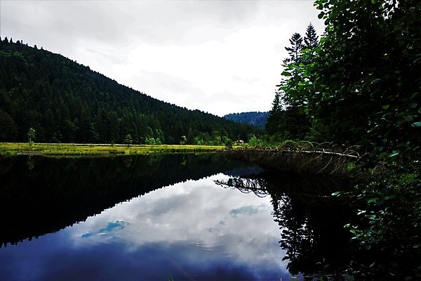 포토 JPG 해외이미지 나무 구름 호수 자연 하늘 표면 산 풍경 잔디 사람없음 야외 목재 가로 물 여름 파란색 컬러풀 반사 환경 프랑스 가을 저수지 연못 황무지 숲 언덕 변소 보호구역 웅장함 해외202008 해외포토 자연요소 식물 계절 유럽 컬러 재료 생태계 구역 파일형식