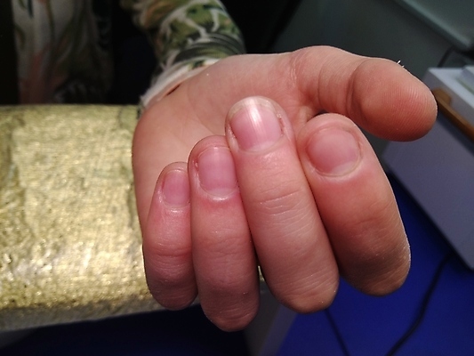 포토 JPG 해외이미지 손 디자인 여자 꽃 미술 사람없음 장식 파란색 유행 상점 스파 흰색 못 화려 손톱관리 손톱 광택 프랑스어 아크릴 스타일 해외202008 해외포토 식물 문자 컬러 컨셉 재질 문화예술 사람 신체부위 공구 네일아트 파일형식