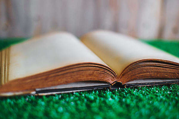 포토 JPG 해외이미지 디자인 교육 종이 백그라운드 컨셉 밭 텍스트 학교 자연 미술 사람없음 야외 목재 장식 책 초록색 빛 스터디 독서 갈색 노란색 우주 쪽지 공책 봄 공백 정보 수확 골동품 덮개 흰색 오픈 역사 도서관 잡지 교과서 질감 문서 복고 문학 페이지 그런지 옛날 해외202008 해외포토 나무 계절 컬러 농업 재료 문화예술 문구용품 교재 간행물 학습 뚜껑 생태계 파일형식