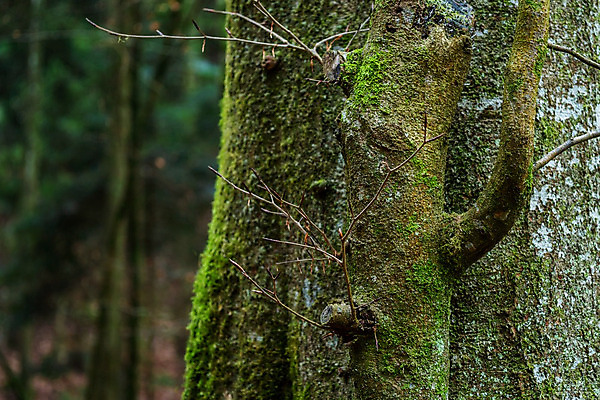 포토 JPG 해외이미지 문화 모래 여행 백그라운드 자연 벽지 산 사람없음 빨간색 빛 갈색 어둠 공백 궁전 탐험 무덤 사찰 성 역사 터널 동굴 발굴 즐거움 잠금 사암 지하 기념물 발견 보호구역 지질학 철강 파멸 흥미 해외202008 해외포토 건축물 교육 감정 길 컬러 컨셉 고건축 종교건축 돌_바위 생태계 보안 구역 파일형식 소멸