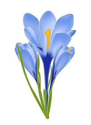 EPS 해외이미지 식물 계절 꽃잎 꽃 줄기 꽃다발 백그라운드 잎 일러스트 자연 초록색 파란색 농작물 머리 보라색 봄 들꽃 벚꽃 흰색 꽃술 시골 투명 우아함 작음 자주색 자르기 오브젝트 싱글 장면 붓꽃 고립 해외202008 해외일러스트 컬러 컨셉 농업 모션 신체부위 크기 생태계 파일형식 벡터