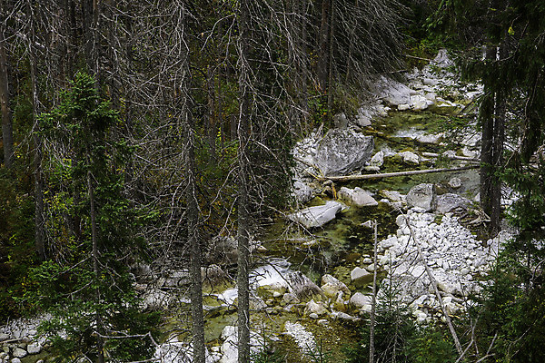 포토 JPG 해외이미지 나무 계절 공원 유럽 여행 자연 산 풍경 사람없음 야외 목재 가로 물 강 환경 트래킹 폭포 흐름 추위 가을 바위 개울 숲 슬로바키아 전국 해외202008 해외포토 자연요소 식물 공공시설 나라 컨셉 재료 레저 돌_바위 생태계 파일형식