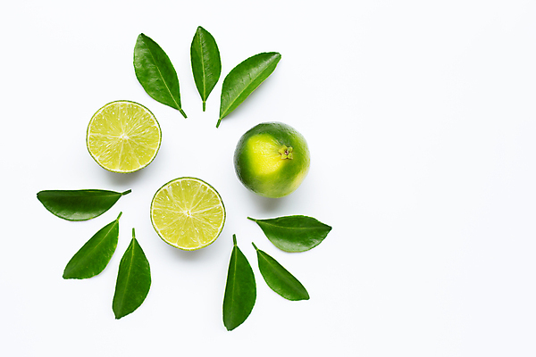 포토 JPG 해외이미지 잎 사람없음 신선 라임 해외202008 해외포토 식물 과일 파일형식
