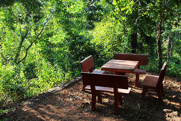 포토 JPG 해외이미지 나무 식물 디자인 외관 공원 가구 잎 패턴 벤치 의자 건축양식 자연 탁자 휴가 휴식 풍경 잔디 사람없음 야외 목재 초록색 여름 세트 소풍 식당 정원 캠핑 바위 시골 숲 바비큐 먹기 시멘트 일반 콘크리트 스타일 해외202008 해외포토 계절 공공시설 건축 음식 컬러 생활용품 컨셉 무늬 재료 모션 레저 야외활동 상점 돌_바위 생태계 파일형식