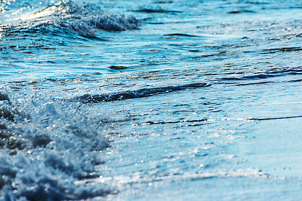 포토 JPG 해외이미지 모래 파도 바다 여행 백그라운드 자연 조류 표면 날씨 휴가 휴식 해변 사람없음 물 빛 햇빛 반사 거품 에너지 흰색 만 뜨거움 서핑 황금 닫기 떨어짐 매끈함 질감 웨이브 남쪽 석호 내추럴 파라다이스 해외202008 해외포토 자연요소 동물 컬러 컨셉 모션 태양 수상스포츠 감각 방향 생태계 파일형식