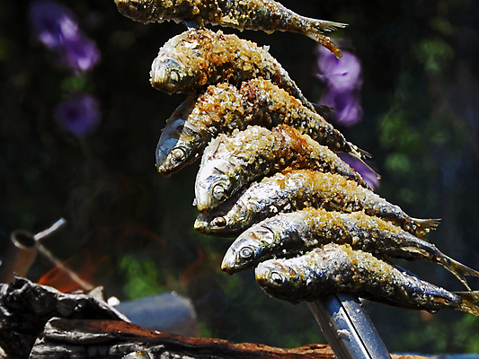 포토 JPG 해외이미지 전통 접시 음식 다이어트 불 낚시 건강 어류 요리 사람없음 식당 치킨 시골 신선 뜨거움 꼬치 맛 그릴 바비큐 굽기 먹기 해산물 준비 영양 소금 칼로리 영양분 짠맛 맛있는 해외202008 해외포토 자연요소 식기 컨셉 모션 주방용품 레저 상점 수중동물 구이 닭고기요리 파일형식