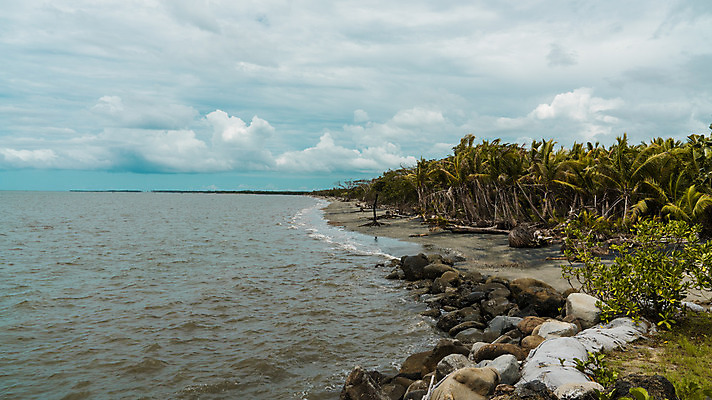 포토 JPG 해외이미지 나무 모래 파도 바다 섬 여행 백그라운드 자연 휴가 건조 손바닥 풍경 사람없음 야외 초록색 물 여름 파란색 모래사장 태양 검은색 사막 덮개 바위 만 내추럴 그리너리 해외202008 해외포토 자연요소 식물 손 계절 컬러 뚜껑 돌_바위 생태계 파일형식 트랜드컬러