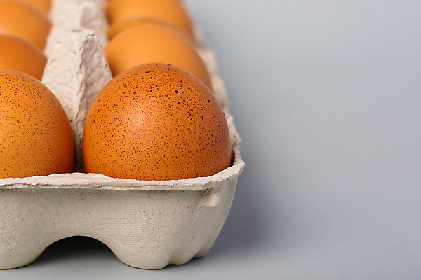 포토 JPG 해외이미지 음식 다이어트 오렌지 재료 건강 요리 사람없음 가로 쇼핑 농장 마을 식사 치킨 성장 껍질 시골 신선 아침식사 상품 컨테이너 먹기 유기농 날것 건강식 내추럴 단백질 밭일 생식 생태학 채식주의자 해외202008 해외포토 웰빙 교육 산업 농업 과일 모션 채식 닭고기요리 영양소 파일형식