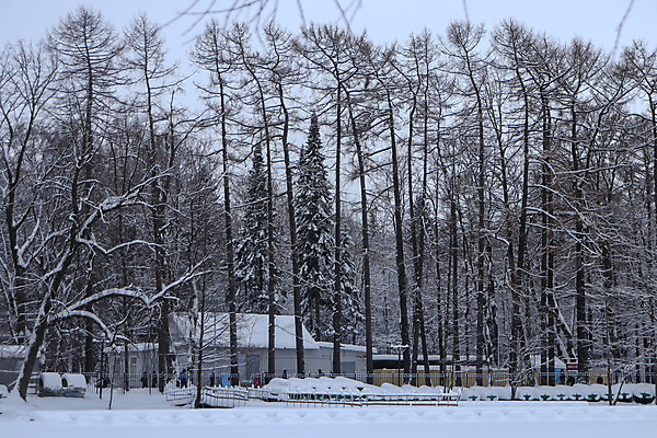 포토 JPG 해외이미지 나무 계절 공원 여행 백그라운드 겨울 자연 하늘 날씨 풍경 사람없음 야외 목재 컬러풀 햇빛 항구 냉동 얼음 추위 덮개 백발 숲 즐거움 서리 러시아 넘어짐 완벽 눈내림 해외202008 해외포토 자연요소 식물 헤어스타일 공공시설 감정 유럽 컬러 컨셉 재료 교통시설 모션 눈_날씨 태양 뚜껑 생태계 파일형식