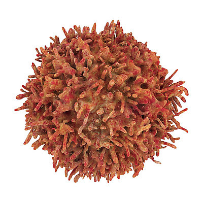 포토 JPG 해외이미지 백그라운드 컨셉 일러스트 협력 세포 건강 사람없음 3D 믿음 기계 흰색 방어 보호 감염 고립 면역력 백신 예방접종 해외202008 해외포토 감정 컬러 의학 어류 디지털합성 접종 파일형식