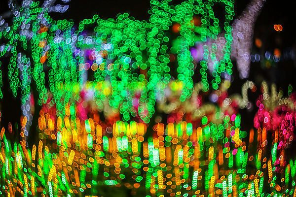 포토 JPG 해외이미지 나무 계절 여행 백그라운드 잎 크리스마스 자연 하늘 추상 휴가 조명 풍경 사람없음 야외 목재 가로 초록색 여름 빛 환경 침묵 놀람 봄 낭만 숲 신비 땅 즐거움 보케 공상 마법 블러 웅장함 환상 카피스페이스 해외202008 해외포토 식물 기념일 감정 컬러 컨셉 무늬 재료 표정 소리 공백 생태계 파일형식