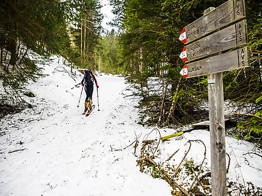 포토 JPG 해외이미지 옷 계절 공원 스포츠 여행 겨울 스키 산 파노라마 국립공원 한명 사람 풍경 경사 야외 얼음 추위 흰색 정상 숲 서리 스키선수 무임승차 절정 해외202008 해외포토 자연요소 1 공공시설 컬러 겨울스포츠 운동선수 촬영기법 승차 파일형식