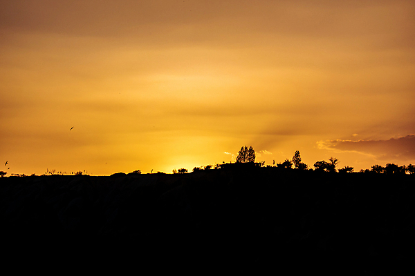 포토 JPG 해외이미지 구름 계절 실루엣 바다 여행 백그라운드 오렌지 자연 하늘 날씨 산 그림자 풍경 사람없음 야외 여름 파란색 빛 컬러풀 햇빛 태양 노란색 일출 환경 일몰 새벽 하이킹 탐험 황금 저녁 숲 언덕 장면 수평선 해외202008 해외포토 자연요소 컬러 과일 레저 촬영기법 노을 야간 생태계 파일형식