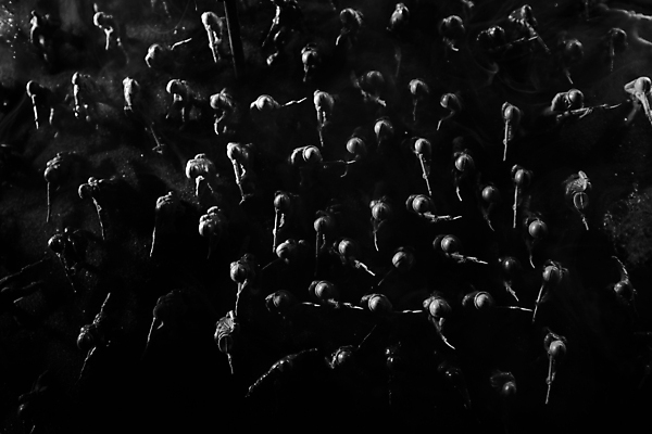 포토 JPG 해외이미지 무기 포즈 백그라운드 불 영국 안테나 경비 사람없음 건물 세계 힘 총 안개 수비 수술 역사 보호 정상 야간 헬멧 공격 폭발 충돌 군용 싸움 전쟁 탱크 장면 육군 무거움 대포 병정 갑옷 전쟁터 장교 해외202008 해외포토 자연요소 건축물 유럽 컨셉 통신 의학 모션 날씨 군대 안전 치료 무게 보호장비 파일형식