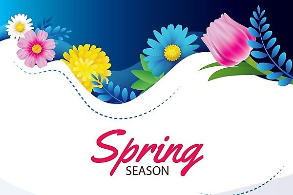 EPS 해외이미지 계절 꽃 백그라운드 잎 꽃무늬 일러스트 이벤트 사람없음 세일 봄 낭만 국경 해외202008 해외일러스트 식물 컨셉 무늬 파일형식 벡터