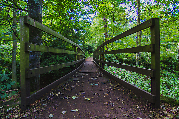포토 JPG 해외이미지 나무 구름 야생동물 잎 밭 자국 자연 하늘 풍경 사람없음 목재 초록색 여름 파란색 울타리 햇빛 태양 농장 걷기 침묵 흰색 시골 볏짚 숲 요크셔테리어 질감 솜털 밀짚 선로 해외202008 해외포토 자연요소 식물 동물 계절 컬러 농업 재료 모션 담장 소리 짚 테리어 생태계 파일형식