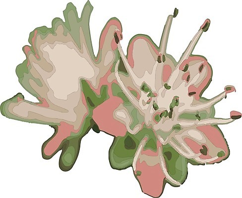 EPS 해외이미지 식물 계절 꽃잎 꽃 줄기 분홍색 꽃다발 백그라운드 잎 꽃무늬 일러스트 자연 장식 초록색 여름 컬러풀 장미 노란색 머리 정원 봄 벚꽃 흰색 축하 신선 개화 우아함 닫기 묘사 싱글 데이지 내추럴 고립 해외202008 해외일러스트 컬러 컨셉 무늬 모션 신체부위 생태계 파일형식 벡터