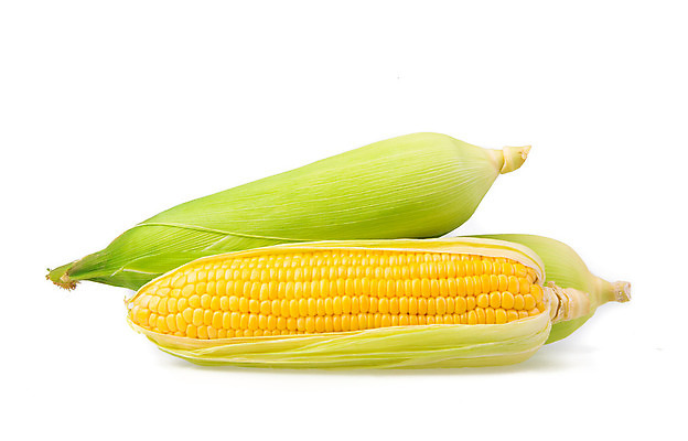 포토 JPG 해외이미지 식물 음식 잎 농업 채소 건강 옥수수 사람없음 초록색 농작물 농장 노란색 껍질 흰색 신선 달콤 낟알 유기농 날것 귀 내추럴 고립 숙성 해외202008 해외포토 웰빙 산업 컬러 곡류 신체부위 맛 파일형식
