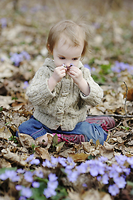 포토 JPG 해외이미지 나무 백인 라이프스타일 손 공원 여자 꽃 딸 어린이 잎 가족 자연 휴가 함께함 사랑 한명 야외 목재 초록색 파란색 태양 봄 산책 하이킹 흰색 아기 잡기 달콤 숲 작음 노루귀 돌봄 해외202008 해외포토 자연요소 서양인 식물 1 계절 공공시설 감정 컬러 컨셉 재료 관계 모션 레저 휴식 사람 생활 신체부위 맛 크기 생태계 파일형식