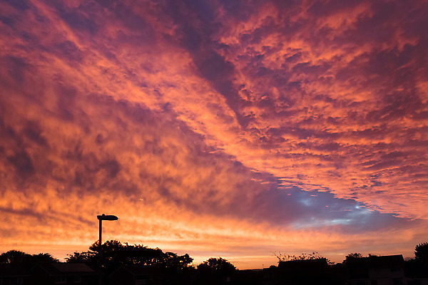포토 JPG 해외이미지 나무 구름 실루엣 분홍색 하늘 아침 지붕 잉글랜드 주택 사람없음 일출 새벽 회색 가을 10월 서식스 해외202008 해외포토 주간 자연요소 식물 계절 컬러 영국 촬영기법 건물 노을 날짜 파일형식