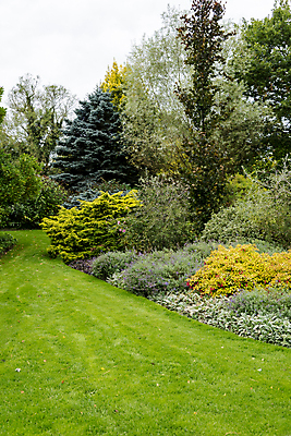 포토 JPG 해외이미지 나무 식물 공원 꽃 길 분홍색 여행 백그라운드 잎 자연 하늘 영국 잉글랜드 풍경 잔디 사람없음 야외 초록색 여름 파란색 컬러풀 갈색 노란색 환경 정원 보라색 침묵 봄 가을 흰색 시골 개화 숲 붓꽃 내추럴 해외202008 해외포토 계절 공공시설 유럽 컬러 소리 생태계 파일형식
