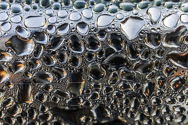 포토 JPG 해외이미지 식물 디자인 계절 공원 벽 백그라운드 컨셉 잎 패턴 자연 벽지 표면 추상 바닥 미술 잔디 사람없음 야외 장식 여름 빛 컬러풀 햇빛 환경 정원 성장 신선 닫기 유기농 질감 보케 부드러움 내추럴 블러 생태학 효과 해외202008 해외포토 웰빙 공공시설 교육 컬러 무늬 모션 문화예술 태양 감각 생태계 파일형식