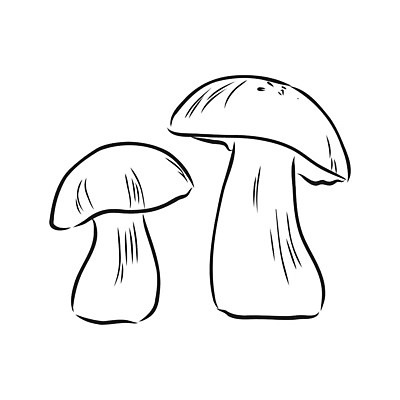 EPS 해외이미지 식물 손 디자인 계절 선 음식 백그라운드 채소 일러스트 재료 자연 건강 요리 미술 그래픽 여름 세트 식사 버섯 수확 가을 굴 흰색 신선 낙서 숲 스케치 먹기 메뉴 그림 유기농 복고 날것 윤곽 손그림 판화 내추럴 고립 곰팡이 그물버섯 식용 엘리먼트 채식주의자 캡모자 해외202008 해외일러스트 모자_잡화 웰빙 컬러 농업 모션 문화예술 어패류 신체부위 생태계 채식 파일형식 벡터