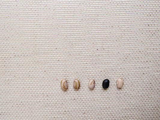 포토 JPG 해외이미지 선 음식 백그라운드 패턴 농업 다이어트 재료 콩 건조 건강 요리 씨앗 사람없음 갈색 식사 직물 그룹 맛 낟알 천 먹기 유기농 질감 날것 고립 채식주의자 핸드메이드 해외202008 해외포토 식물 웰빙 산업 컬러 컨셉 무늬 모션 곡류 채식 파일형식