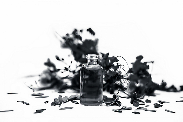 포토 JPG 해외이미지 식물 꽃잎 꽃 백그라운드 낙엽 오렌지 자연 열대 사람없음 장식 빨간색 초록색 컬러풀 스파 벚꽃 흰색 개화 공작 허브 관목 향수 유기농 아로마테라피 고립 에센스 이국적 추출 해외202008 해외포토 나무 웰빙 컬러 잎 과일 조류 화장품 생태계 테라피 파일형식