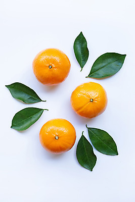 포토 JPG 해외이미지 조각 잎 오렌지 사람없음 신선 플랫 달콤 비타민C 해외202008 해외포토 식물 과일 맛 비타민 파일형식