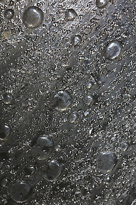 포토 JPG 해외이미지 디자인 백그라운드 잎 자연 벽지 아침 날씨 잔디 초원 사람없음 야외 물 여름 빛 햇빛 환경 디지털 침묵 봄 활발 거품 회색 젖음 신선 투명 액체 떨어짐 이슬 불기 빗방울 오브젝트 흰배경 애니메이션 고립 정중 카피스페이스 해외202008 해외포토 주간 자연요소 식물 계절 컬러 컨셉 모션 태양 소리 공백 흰색 비_날씨 생태계 파일형식