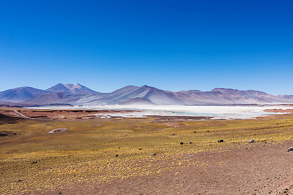 포토 JPG 해외이미지 호수 모래 여행 백그라운드 자연 하늘 휴가 산 건조 파노라마 풍경 사람없음 야외 파란색 계곡 미국 사막 달 남아메리카 화산 소금 칠레 남쪽 석호 전국 해외202008 해외포토 자연요소 컬러 북아메리카 촬영기법 아메리카 방향 생태계 파일형식