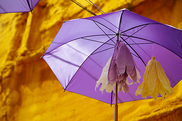 포토 JPG 해외이미지 모양 백그라운드 컨셉 오렌지 우산 자연 추상 거리 매달리기 창조 미술 사람없음 야외 건물 장식 햇빛 노란색 유행 맑음 보라색 축제 도시 작음 메인 질감 타운 라벤더 해외202008 해외포토 건축물 꽃 컬러 무늬 과일 모션 날씨 문화예술 태양 크기 허브 생태계 파일형식