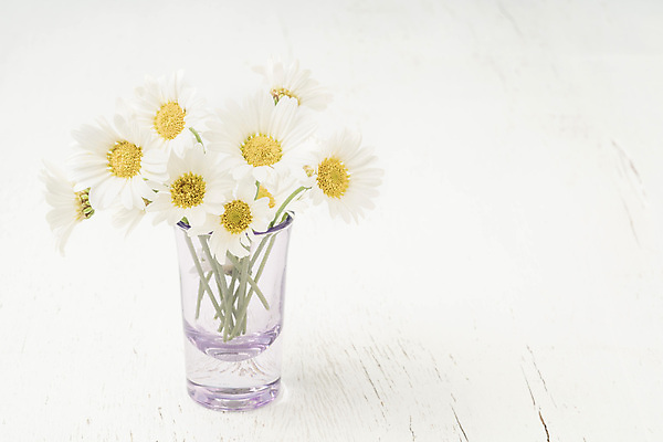 포토 JPG 해외이미지 식물 계절 꽃잎 꽃 꽃다발 백그라운드 꽃무늬 자연 유리 탁자 휴가 주택 선물 사람없음 내부 목재 장식 초록색 노란색 꽃병 봄 낭만 벚꽃 흰색 신선 다발 데이지 내추럴 캐모마일 카피스페이스 어머니의날 해외202008 해외포토 나무 기념일 컬러 가구 컨셉 무늬 재료 재질 건물 공백 허브 생태계 미국문화 파일형식