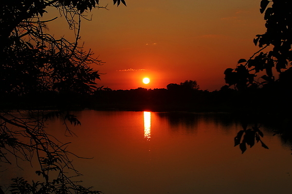 포토 JPG 해외이미지 나무 공원 호수 자연 사람없음 야외 빨간색 강 태양 검은색 일몰 저녁 해외202008 해외포토 자연요소 식물 공공시설 컬러 노을 야간 생태계 파일형식