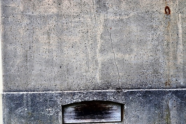 포토 JPG 해외이미지 나무 디자인 벽 백그라운드 패턴 건축양식 자연 유리 벽지 표면 사람없음 물 갈색 검은색 어둠 공백 회색 수확 거친 균열 닫기 떨어짐 묘사 질감 대리석 시멘트 그런지 석고 옛날 콘크리트 화강암 카피스페이스 해외202008 해외포토 자연요소 식물 건축 컬러 컨셉 무늬 농업 재료 모션 재질 암석 생태계 파일형식